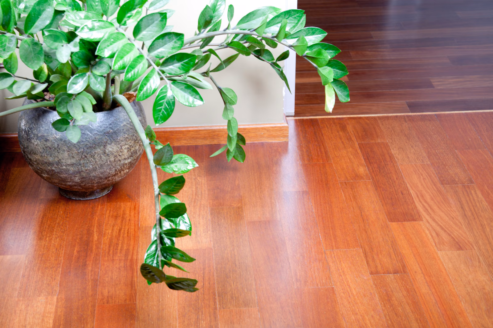 Health and Environmental Hardwood floor