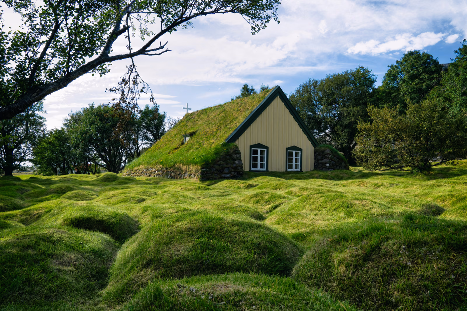 home's green roof
