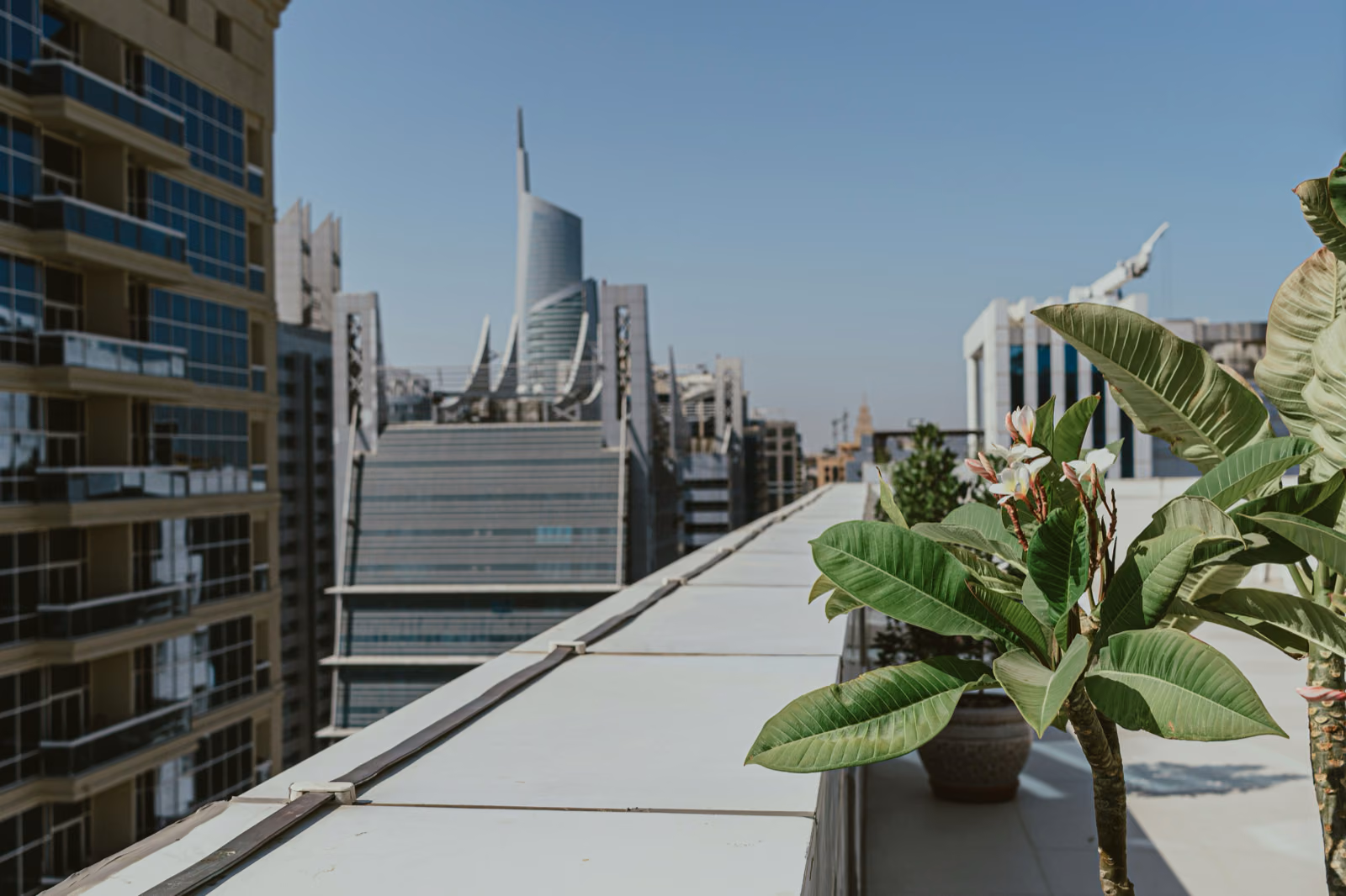 Sustainable Roofing Solution for Commercial Buildings