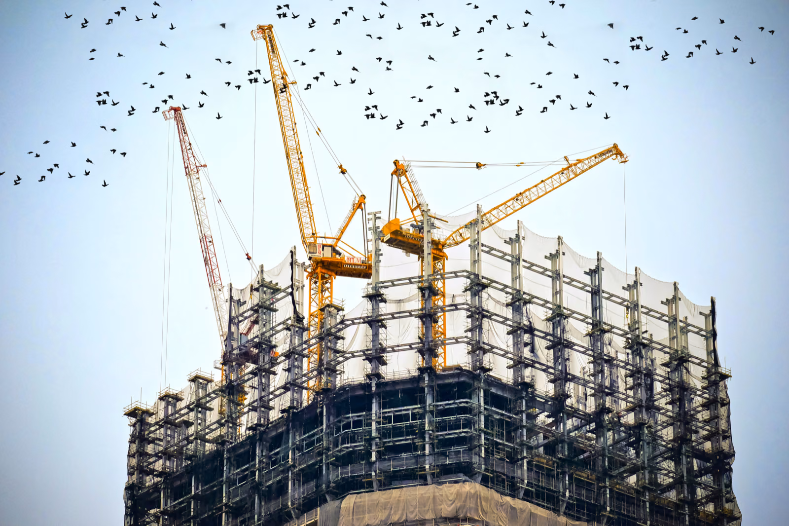 Residential and Commercial Contractor Licenses