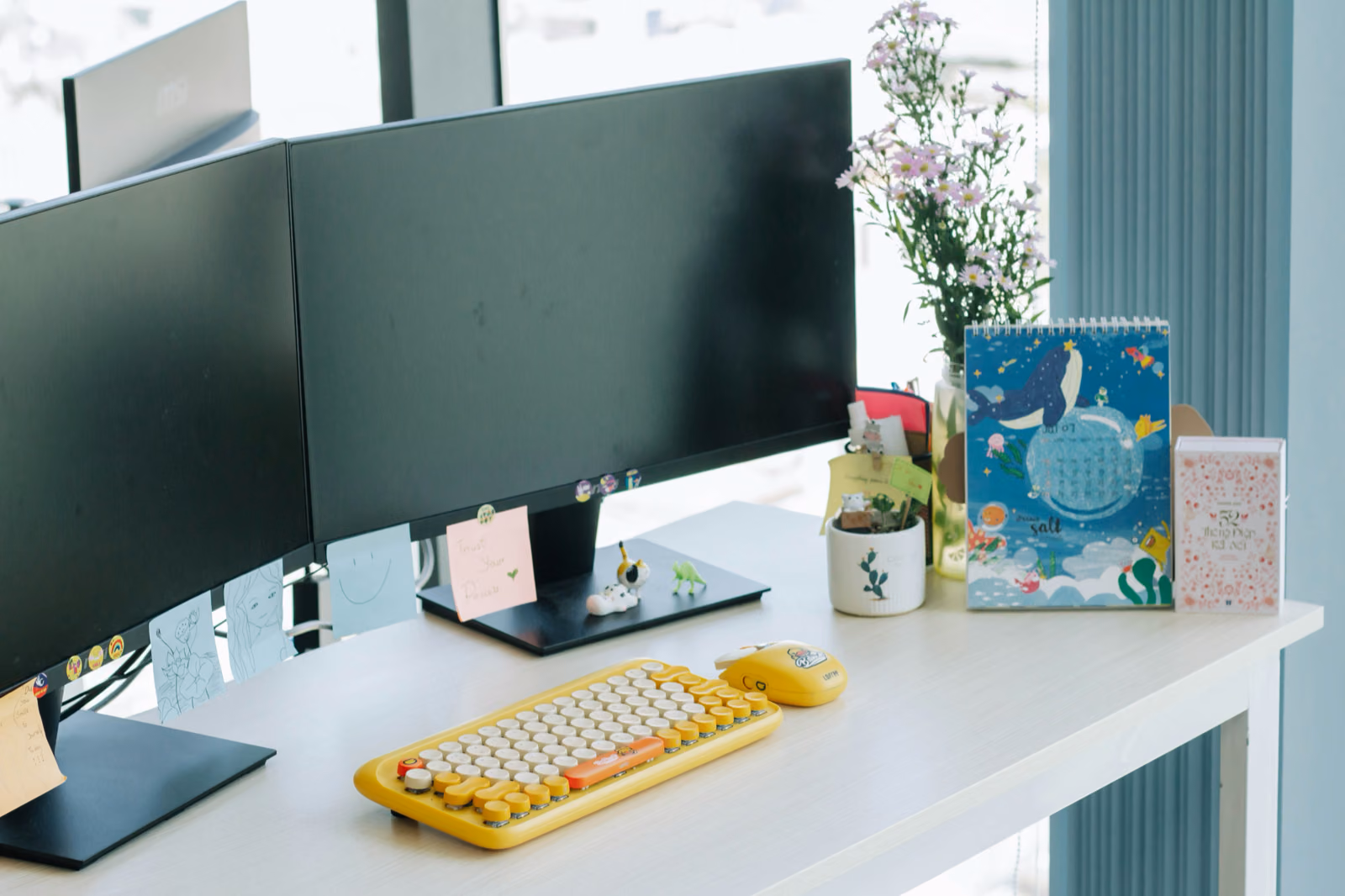 Mice and Keyboards for home office