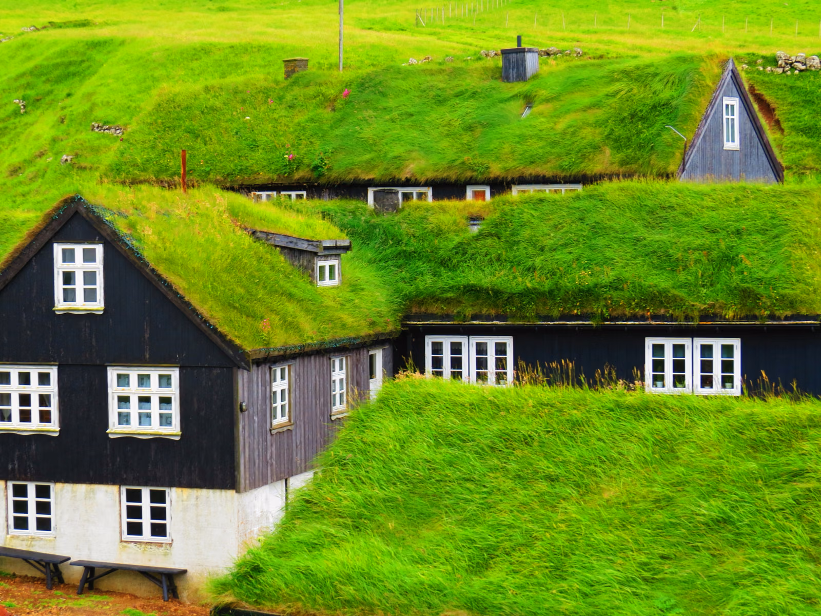 Eco Friendly Modern Roof
