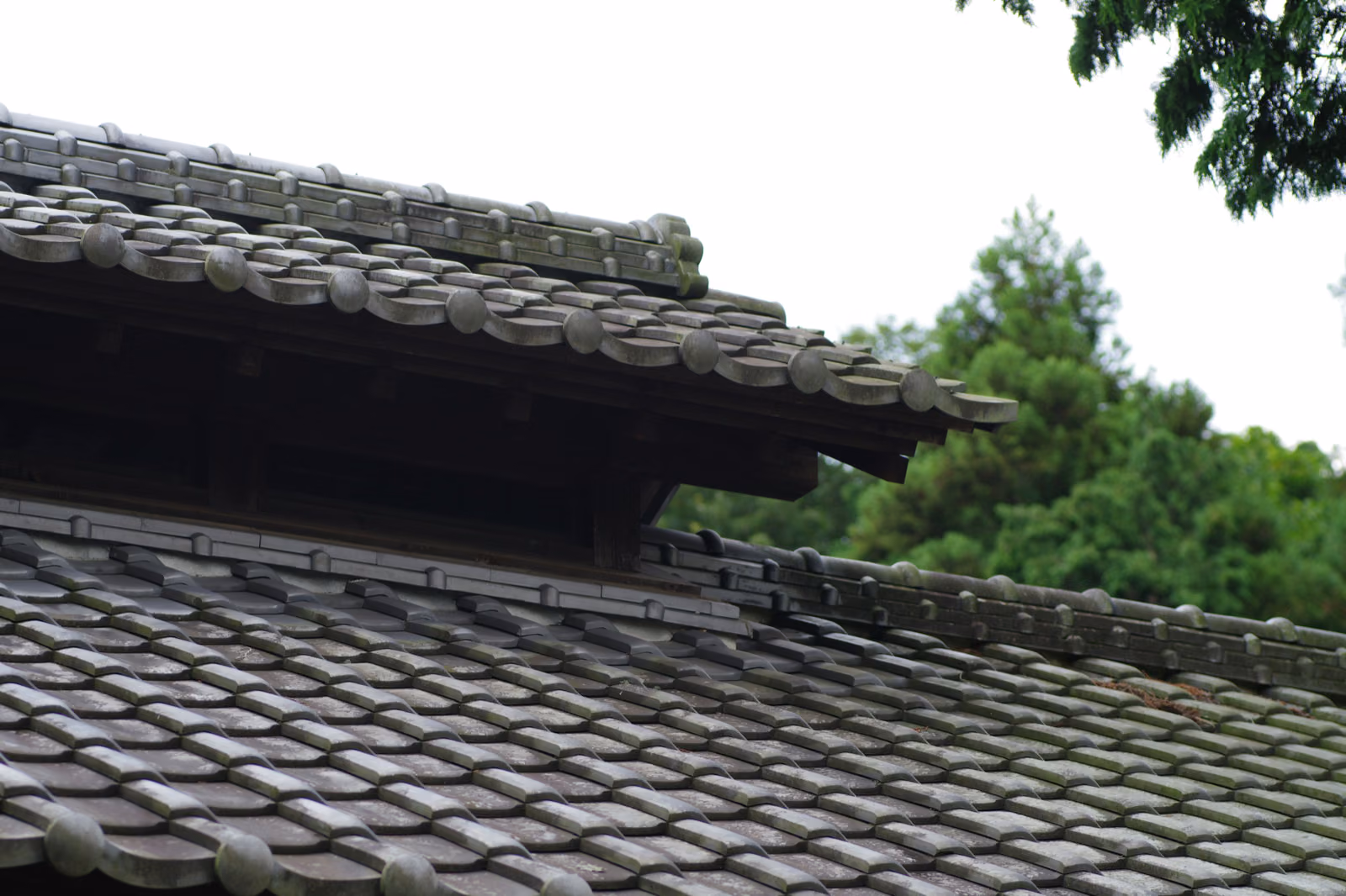 Rubber roof