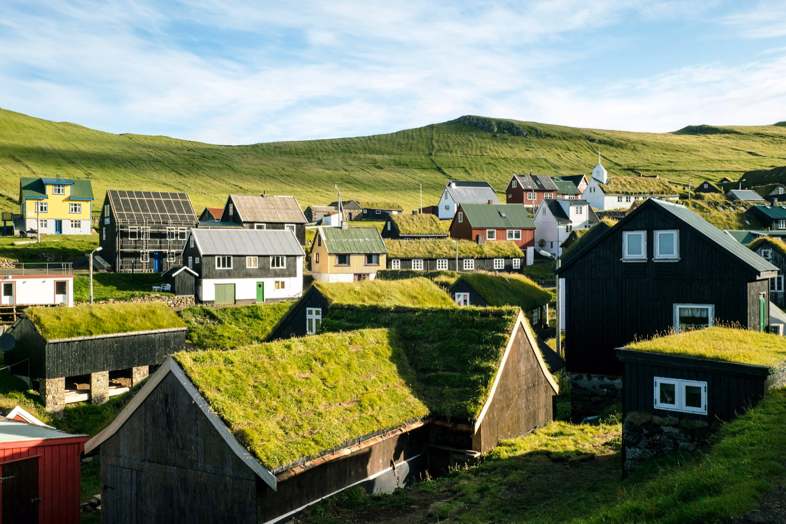 Green Roof