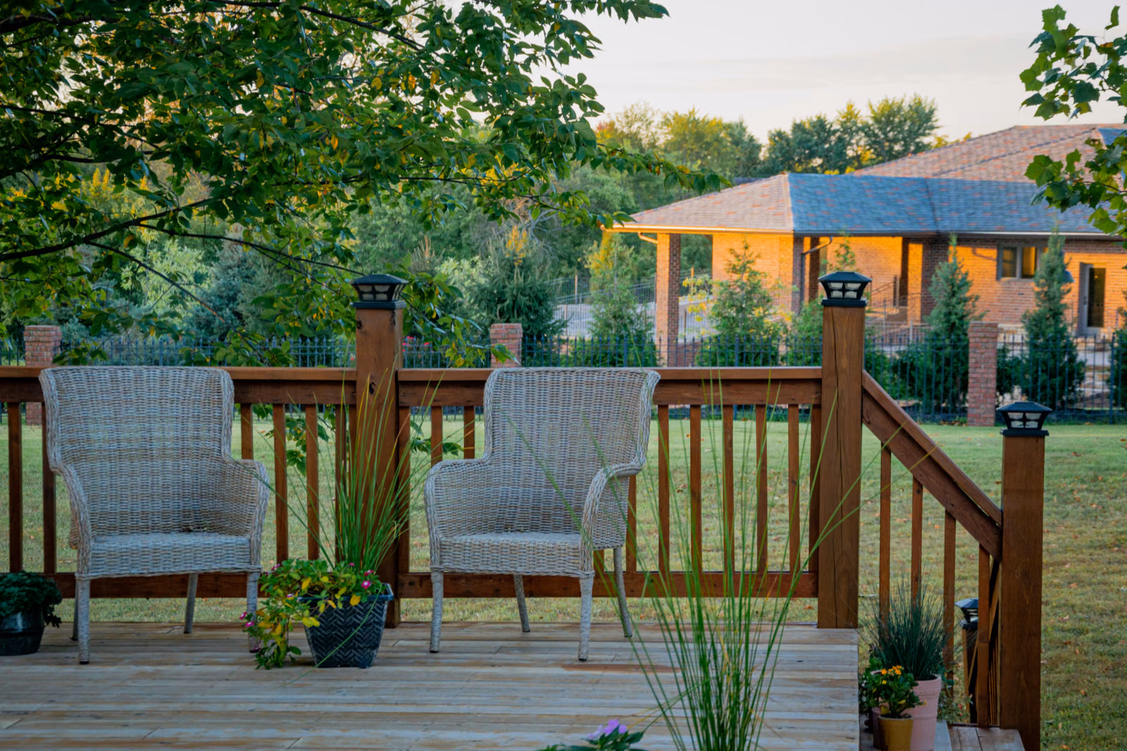 Backyard Renovati