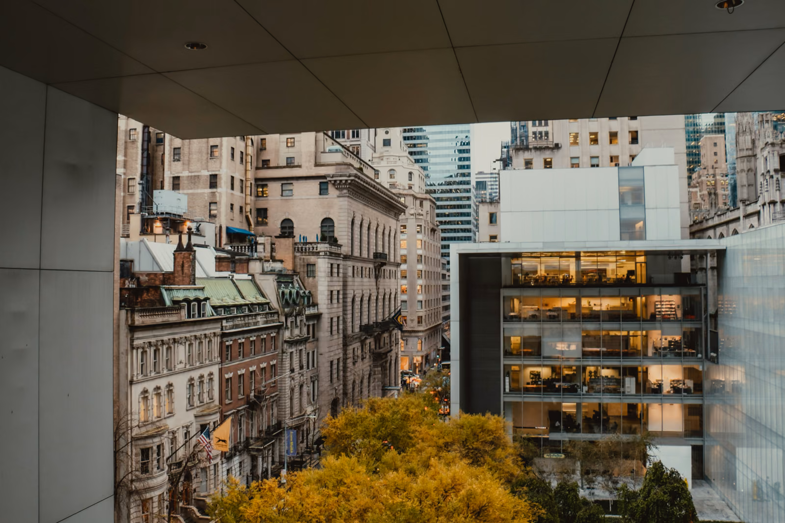 Urban Haven